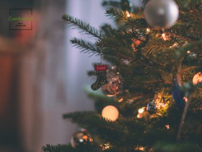Guide to Storing Christmas Decorations in Self Storage